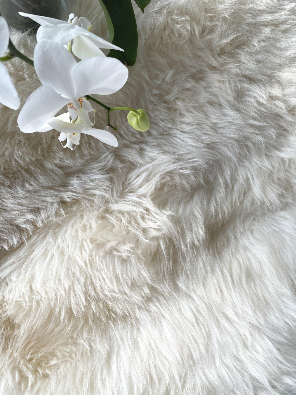 5 REASONS WHY SHEEPSKIN IS GOOD FOR YOUR HEALTH (AND YOUR BABY)