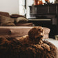 A brown dog lounging on a bean bag in a living room, surrounded by Oval Natural Sheepskin Pet Bed - Chocolate Brown from Mellow Pet Store.