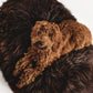 A brown dog lounging on an Oval Natural Sheepskin Pet Bed - Chocolate Brown from Mellow Pet Store.