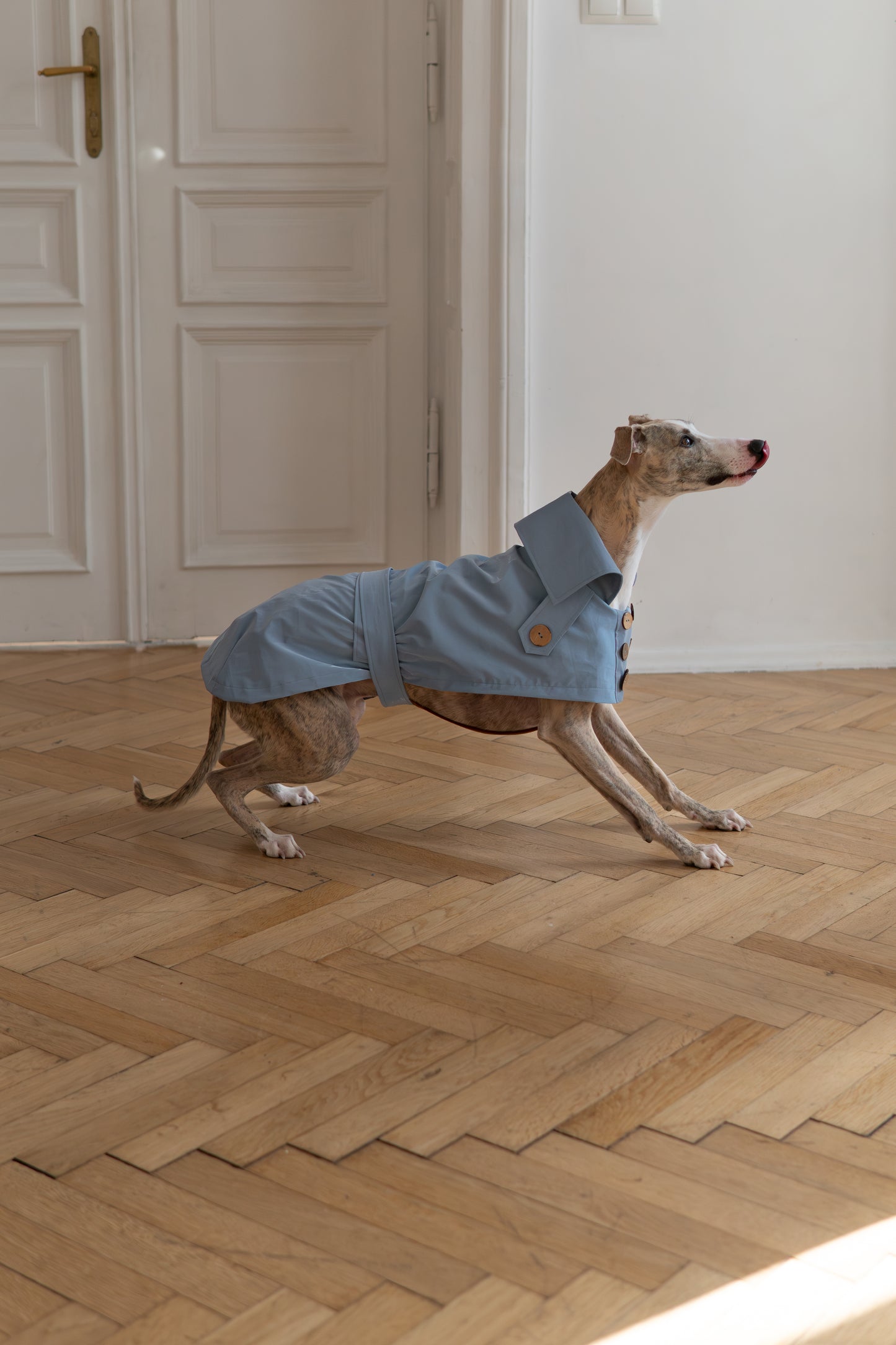 Water-repellent Dog Trench Coat - Light Blue