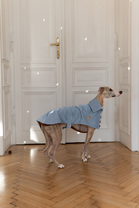 Water-repellent Dog Trench Coat - Light Blue