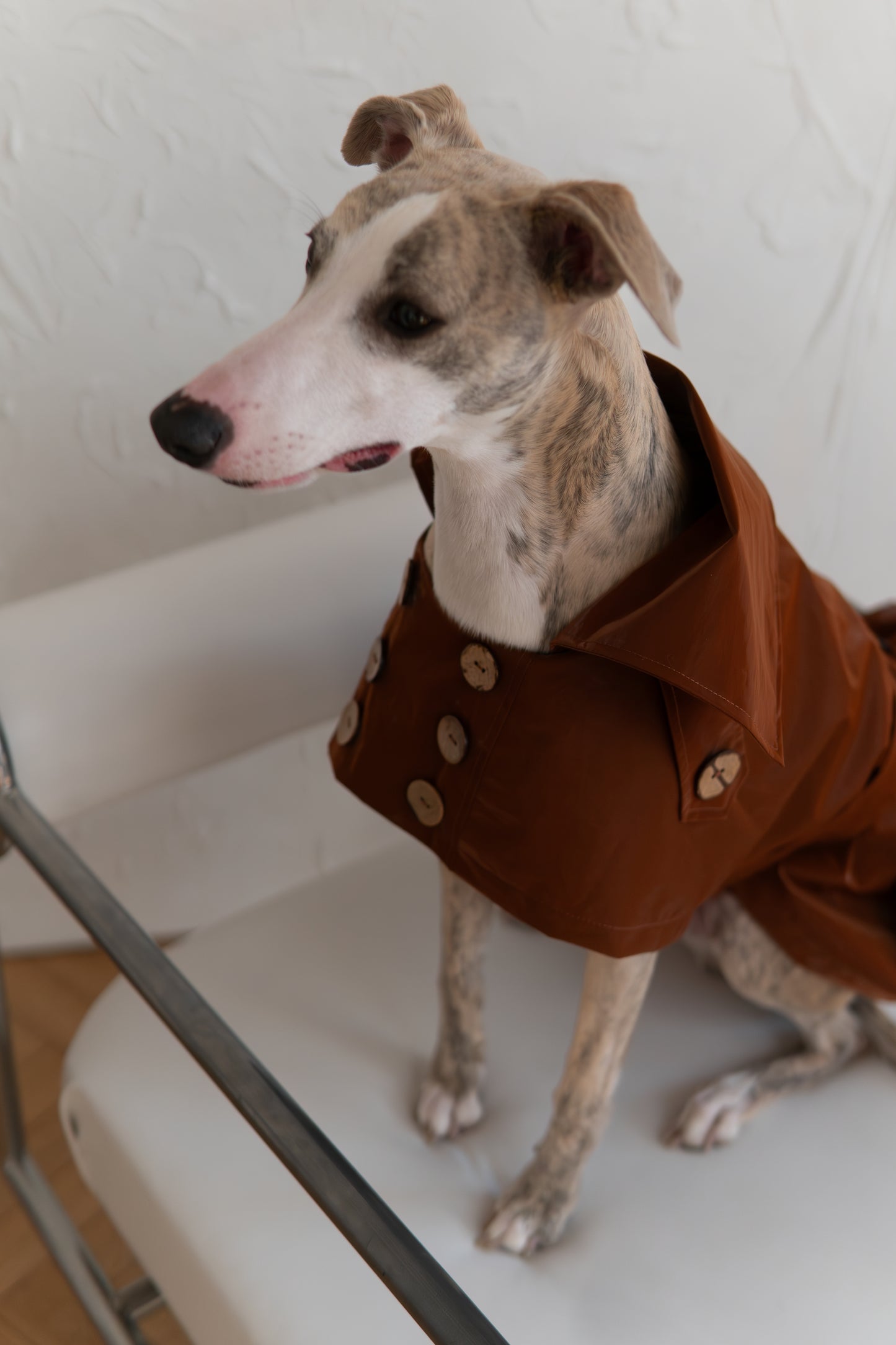 Water-repellent Dog Trench Coat - Chocolate Brown