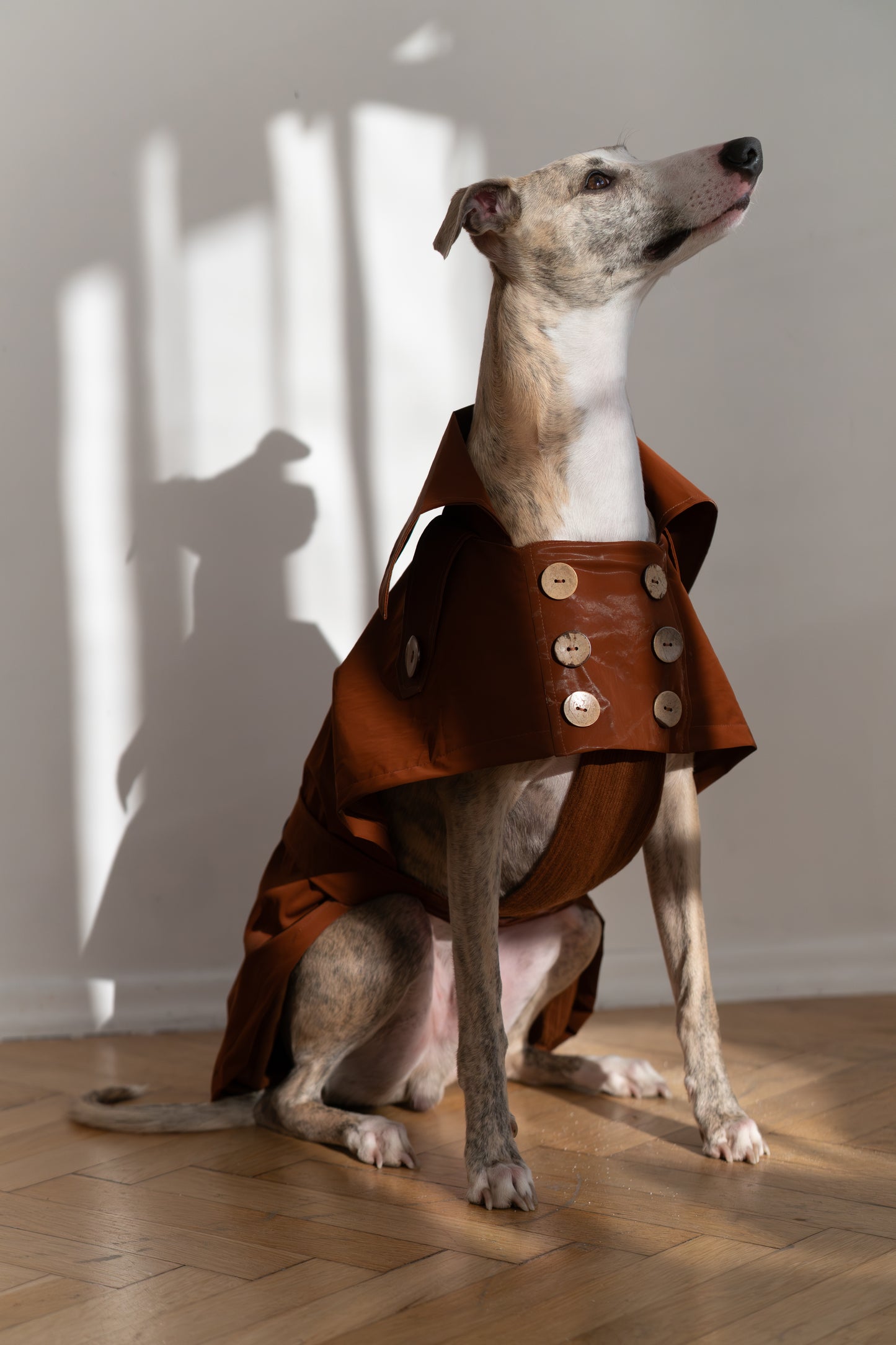 Water-repellent Dog Trench Coat - Chocolate Brown