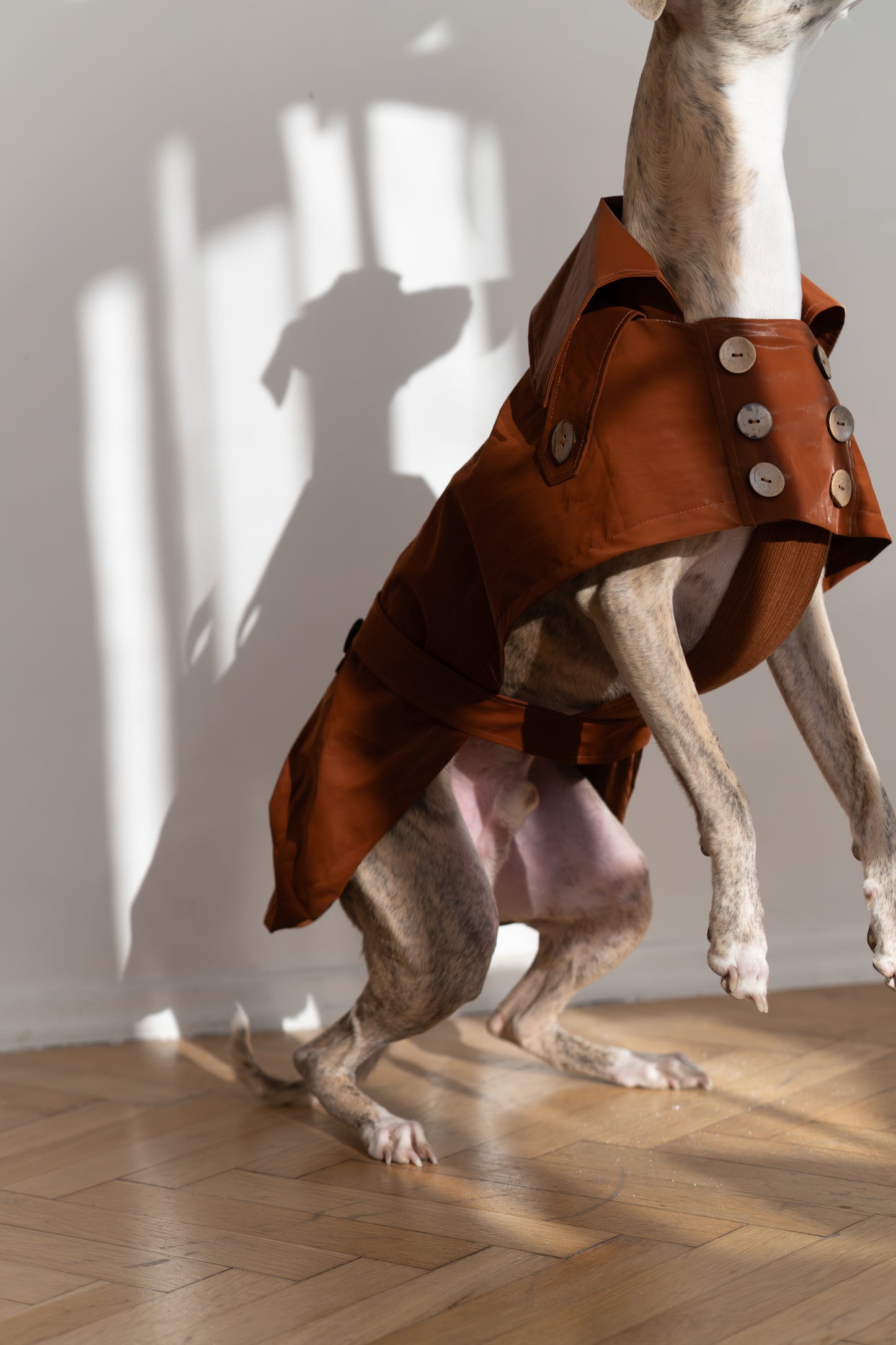 Water-repellent Dog Trench Coat - Chocolate Brown