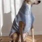 Woolen Dog Vest - Blue