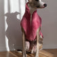 Woolen Dog Vest - Pink