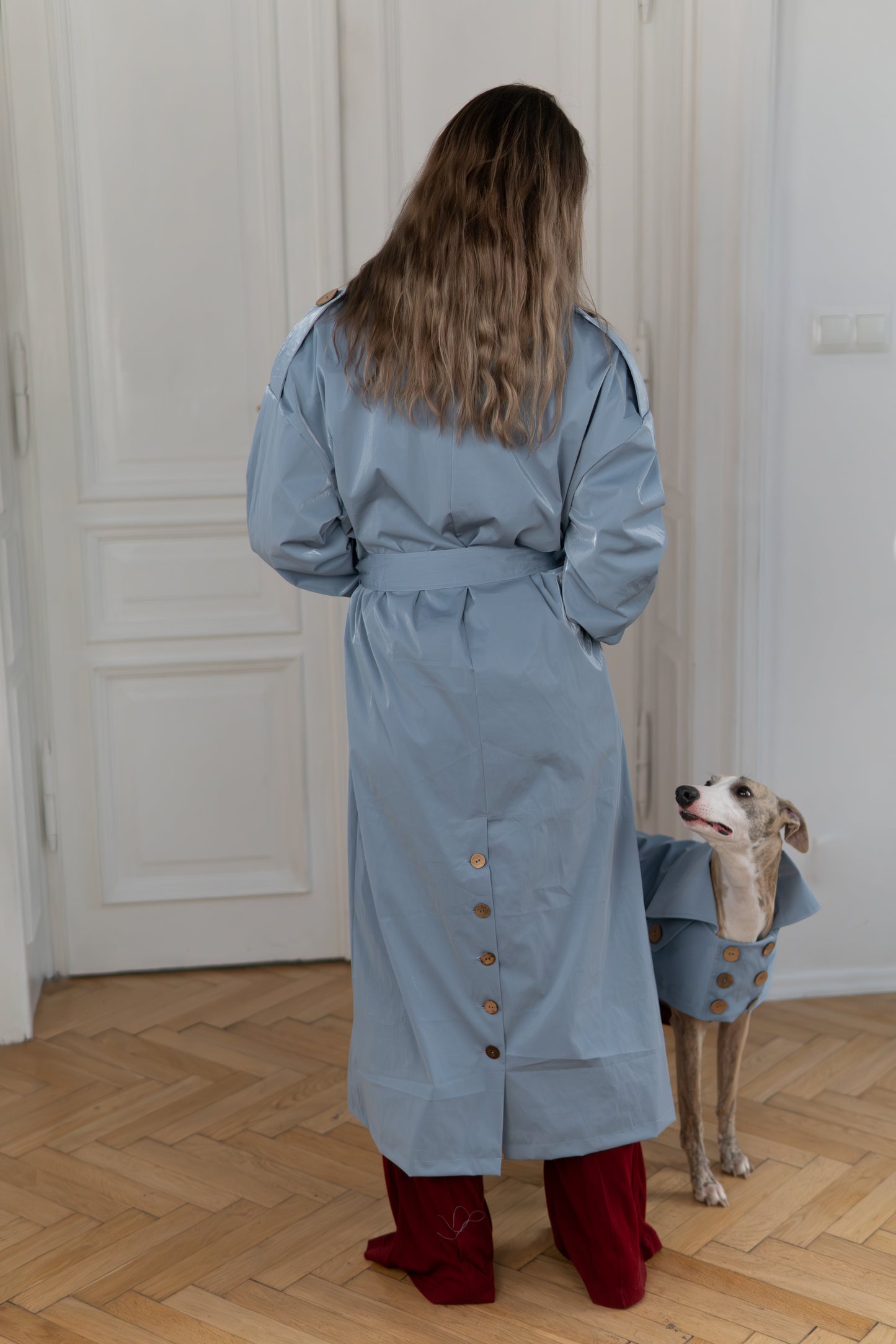 Water-repellent Dog Trench Coat - Light Blue