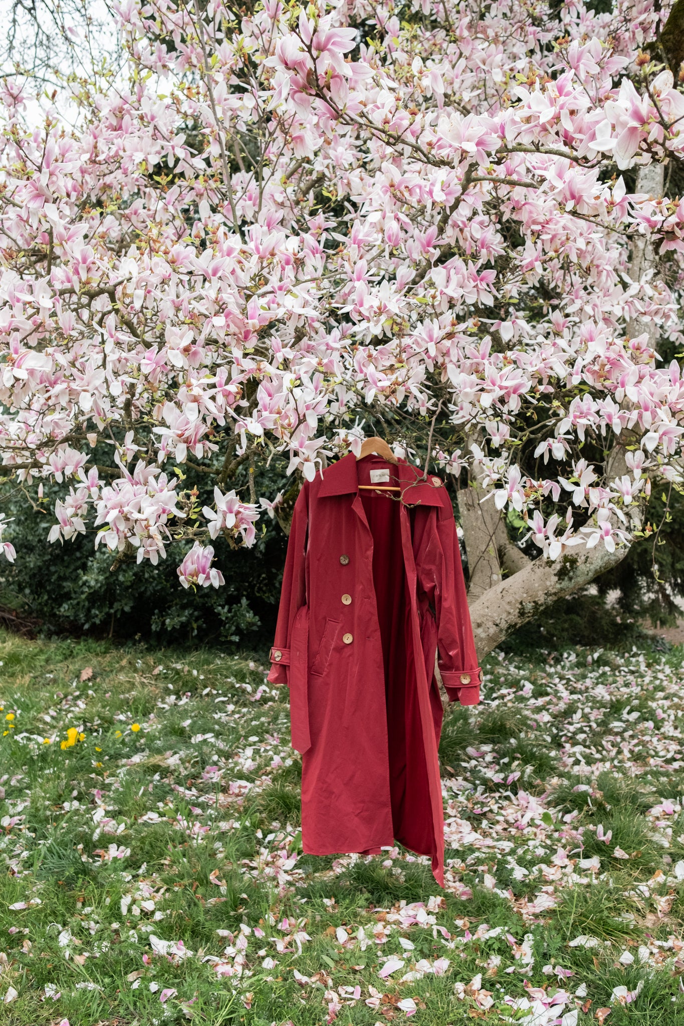 Trench Coat - Burgundy Red