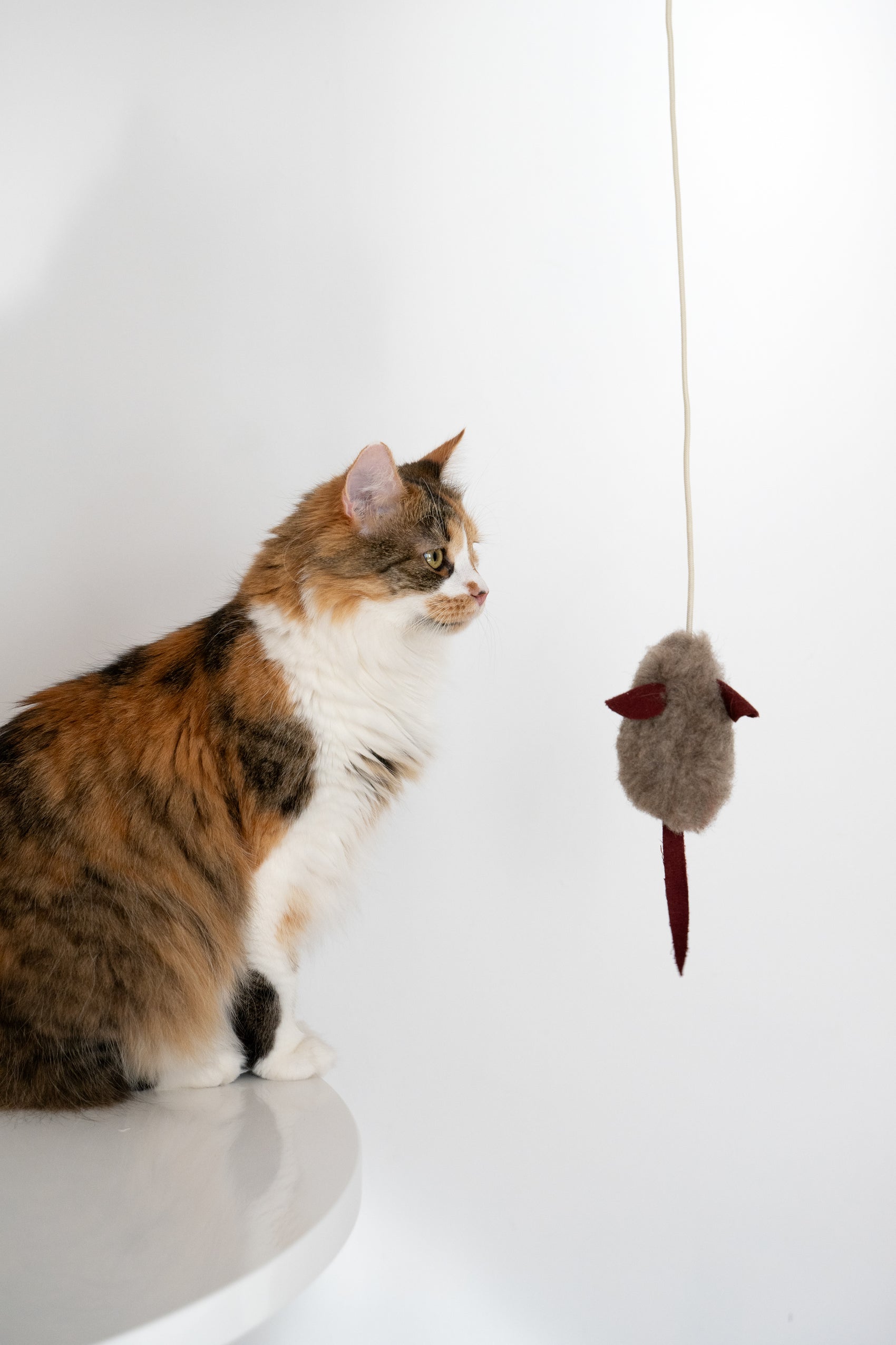 Natural Woolen Cat Toy: Mouse