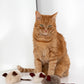 Natural Woolen Cat Toy: Mouse