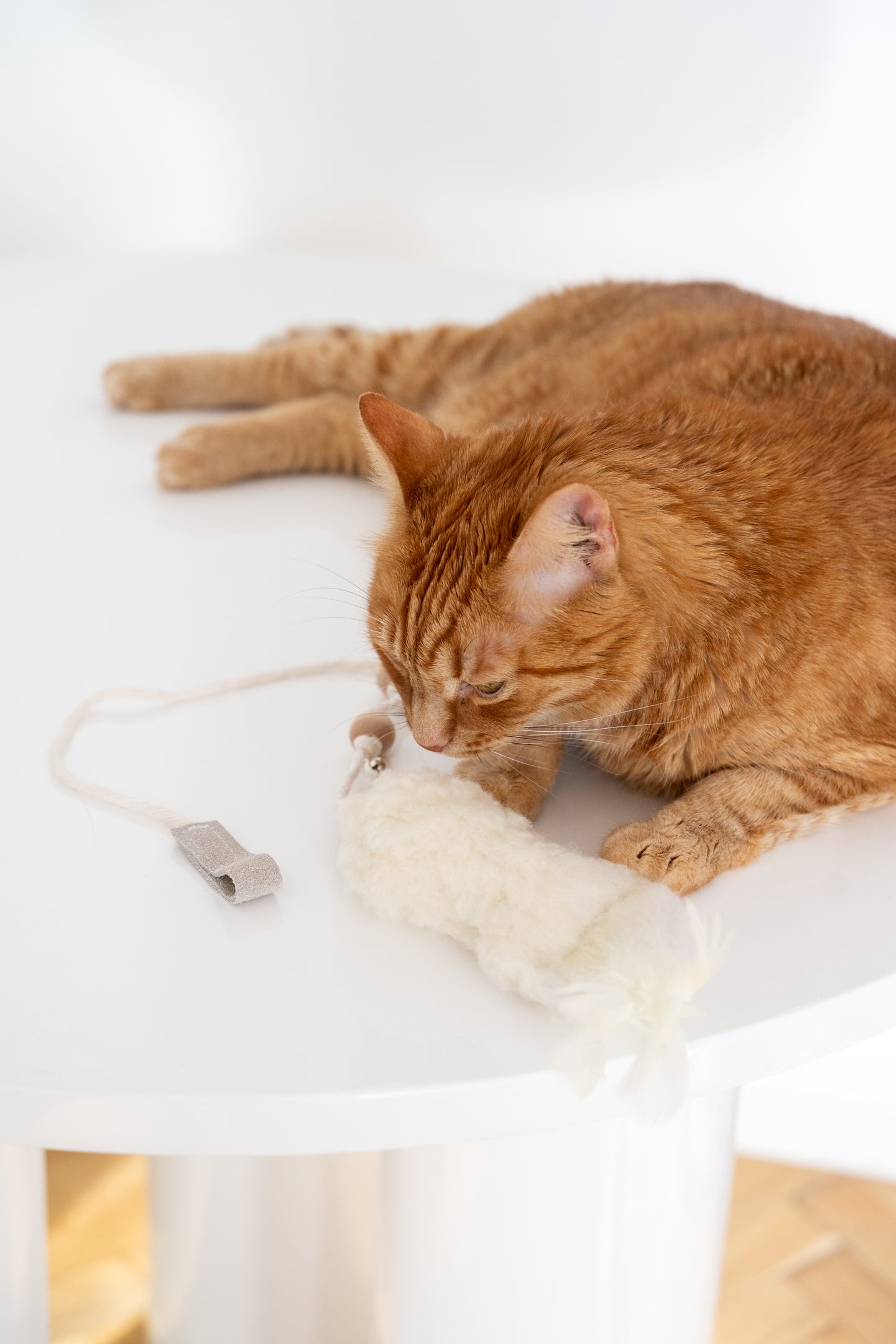 Natural Woolen Cat Toy: Fish