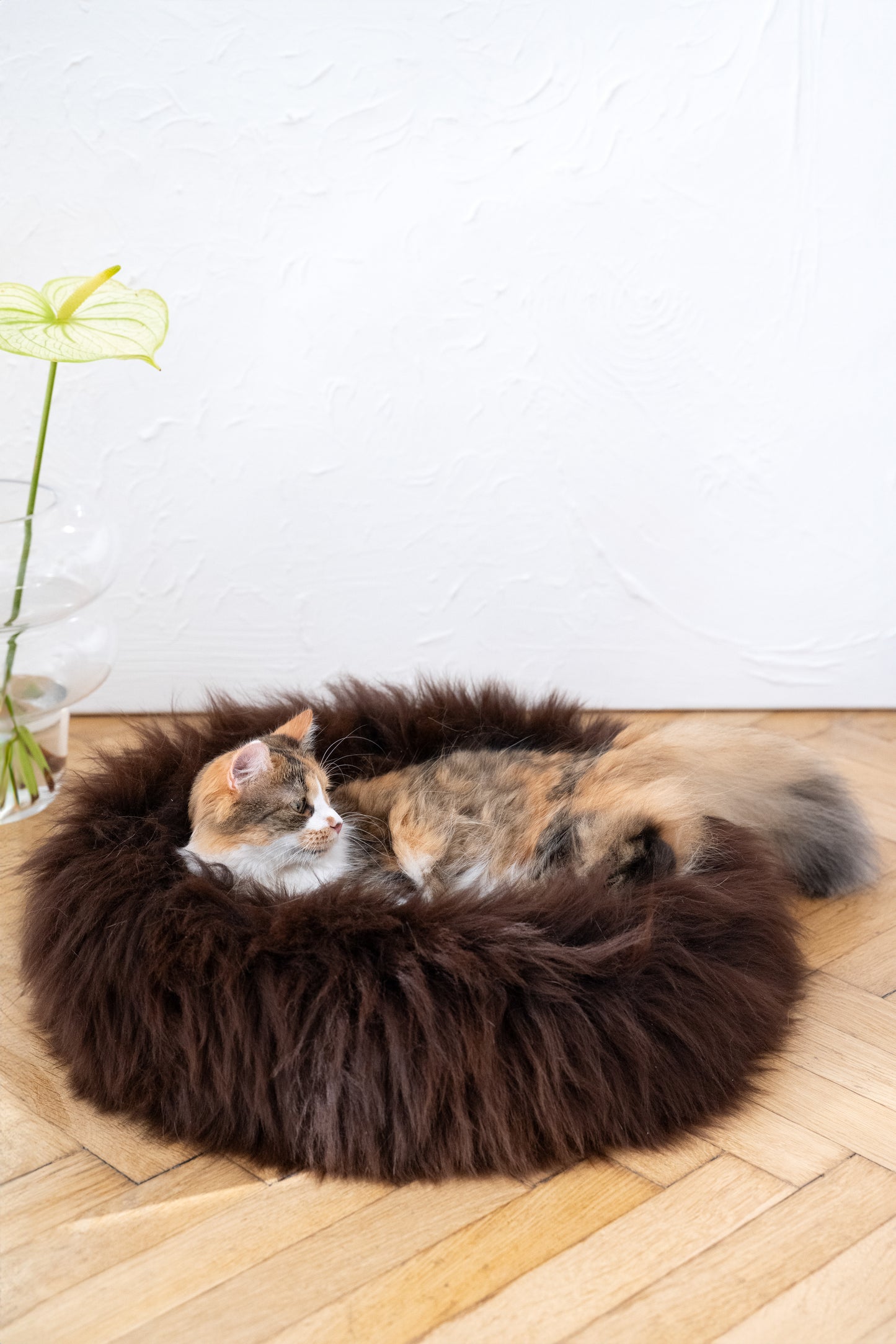 Round Natural Sheepskin Pet Bed - Brown