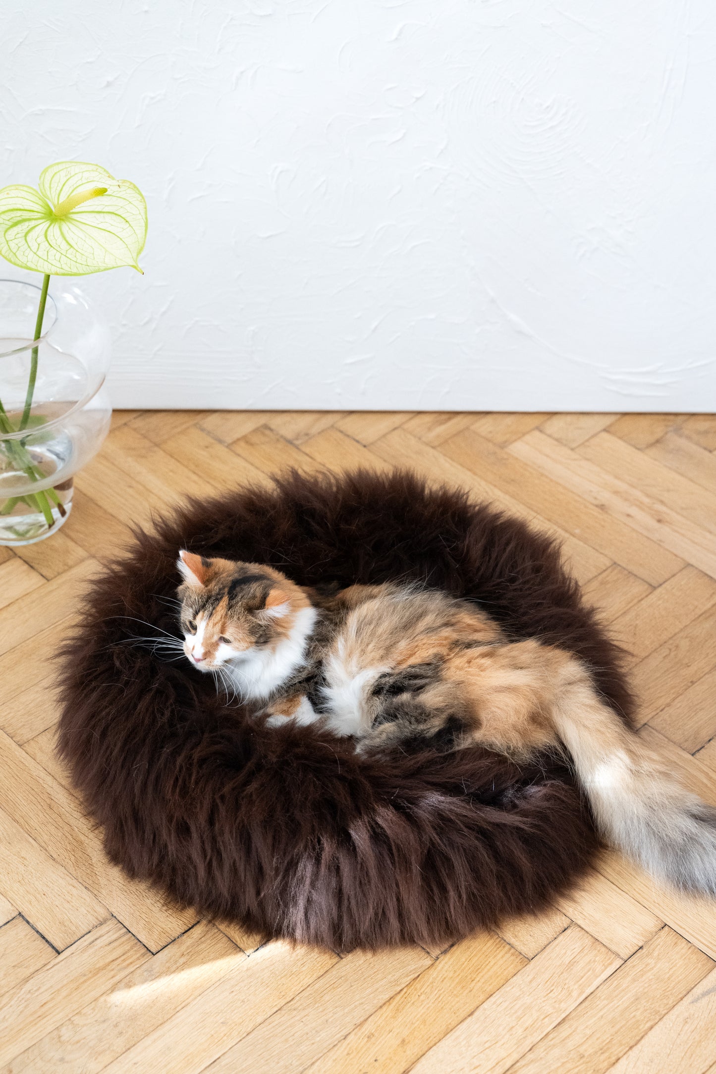 Round Natural Sheepskin Pet Bed - Brown