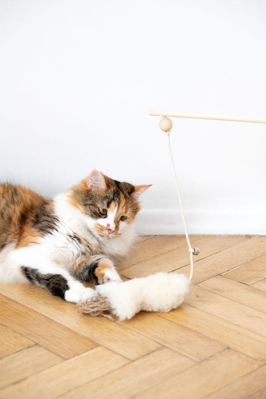 Natural Sheepskin Cat Toy: Fish