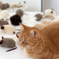 Natural Woolen Cat Toy: Mouse