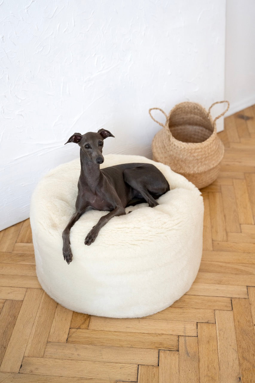 Oval Natural Wool Pet Bed - White