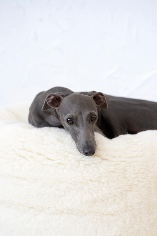 Oval Natural Wool Pet Bed - White