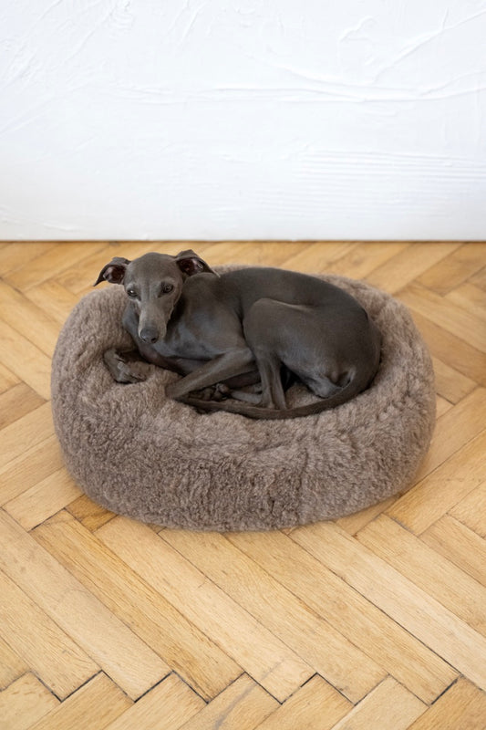 Oval Natural Wool Pet Bed - Beige