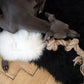 Natural Sheepskin Dog Tug Toy - White