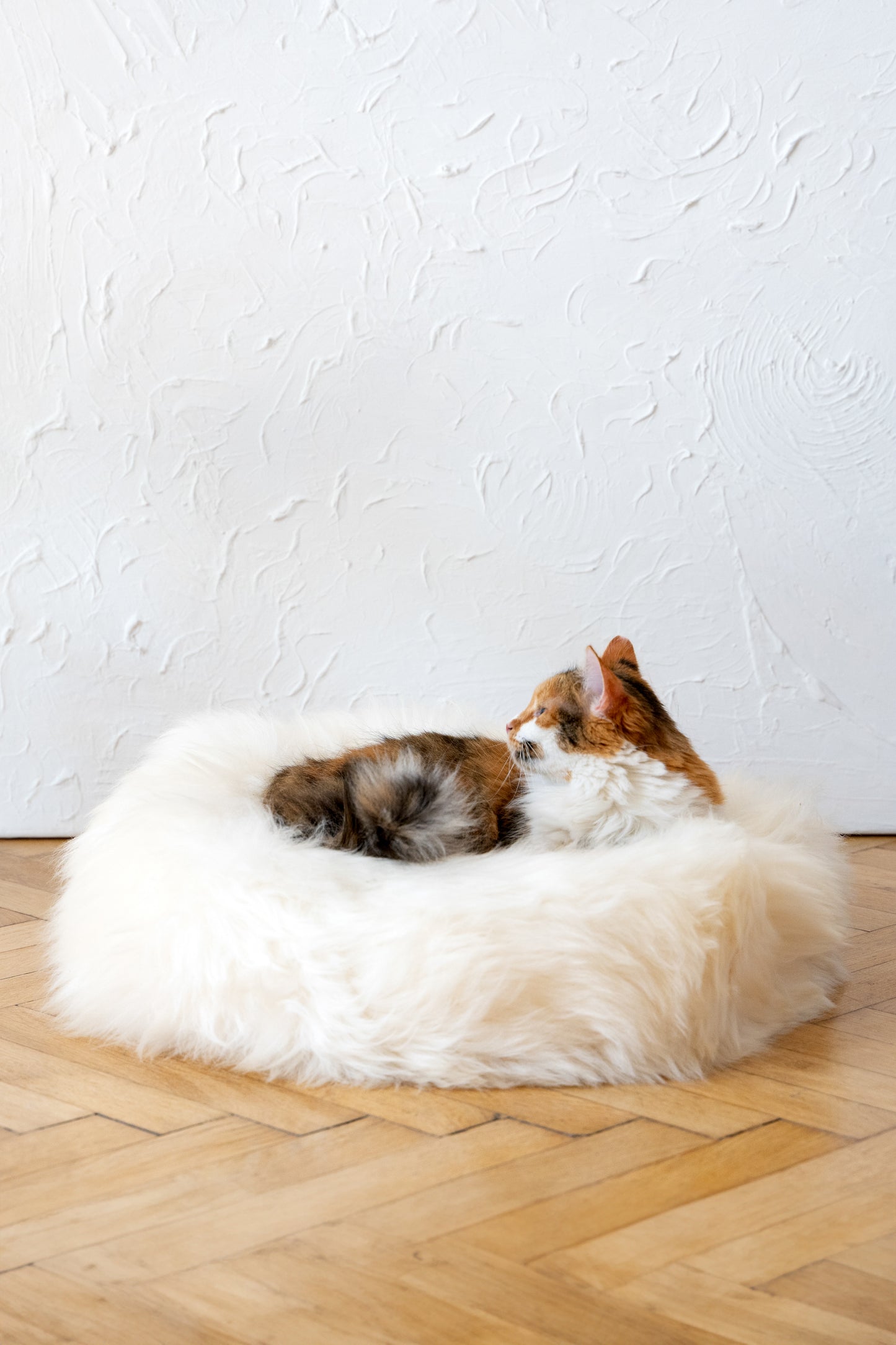 Round Natural Sheepskin Pet Bed - White