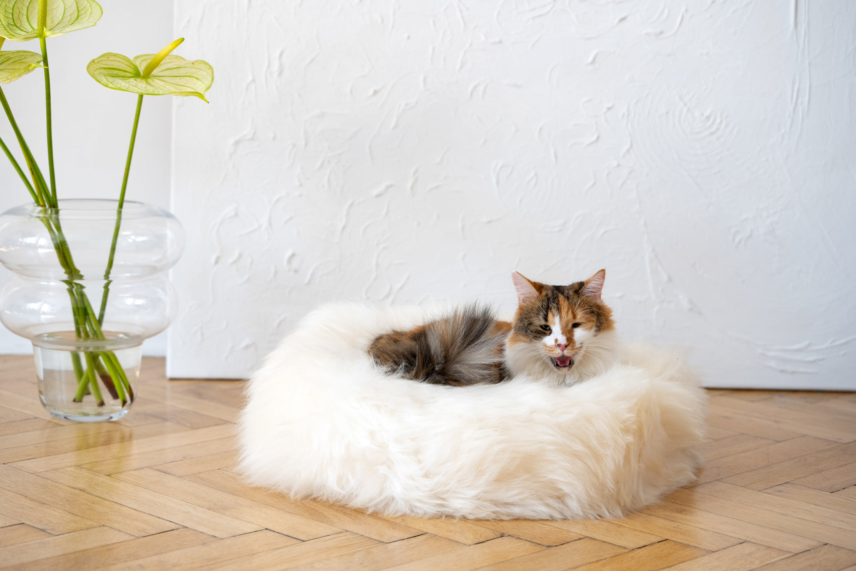 Round Natural Sheepskin Pet Bed - White