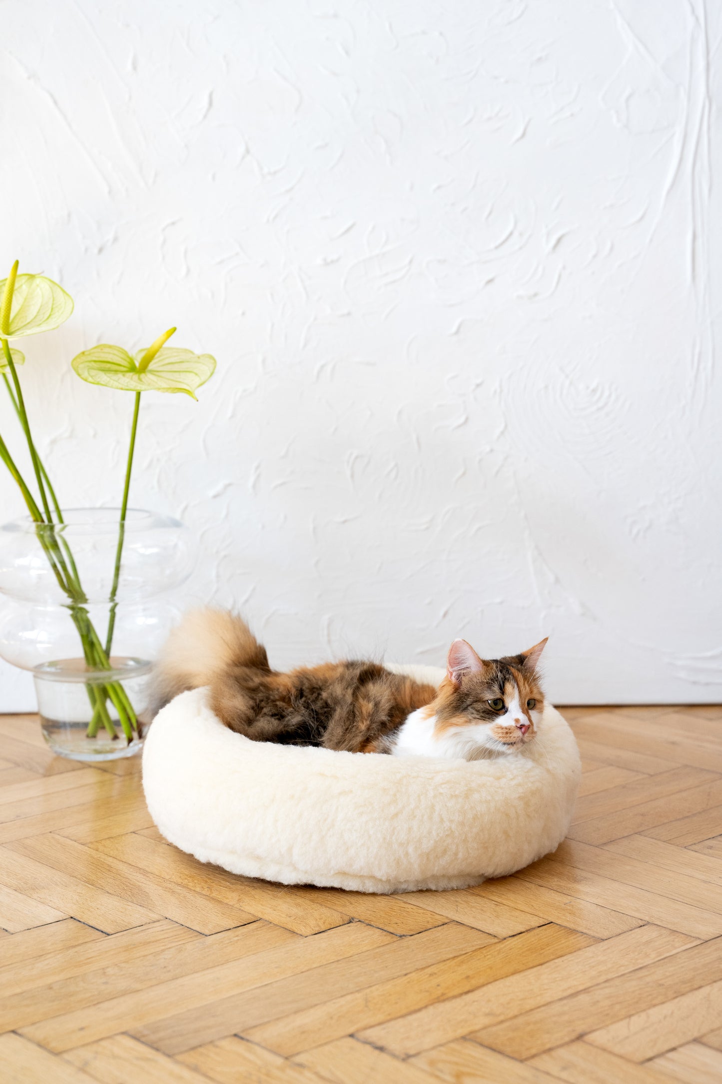 Round Natural Wool Pet Bed - White