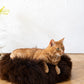 Round Natural Sheepskin Pet Bed - Brown