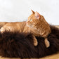 Round Natural Sheepskin Pet Bed - Brown