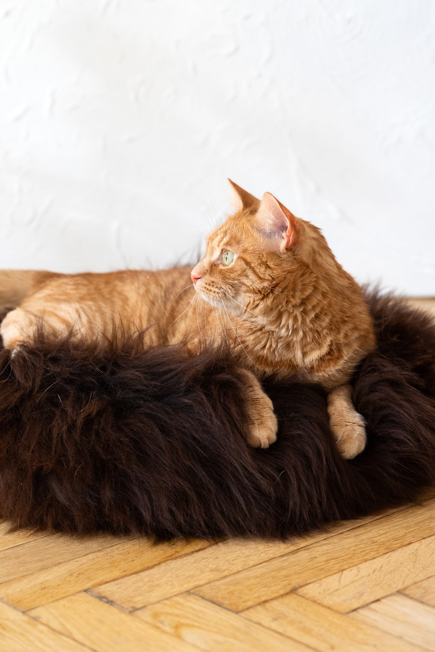 Round Natural Sheepskin Pet Bed - Brown