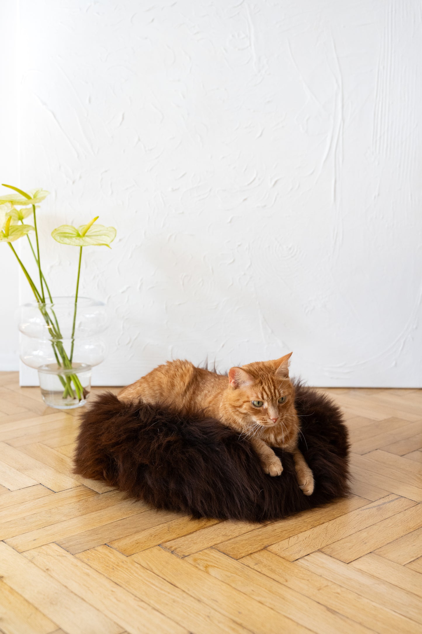 Round Natural Sheepskin Pet Bed - Brown