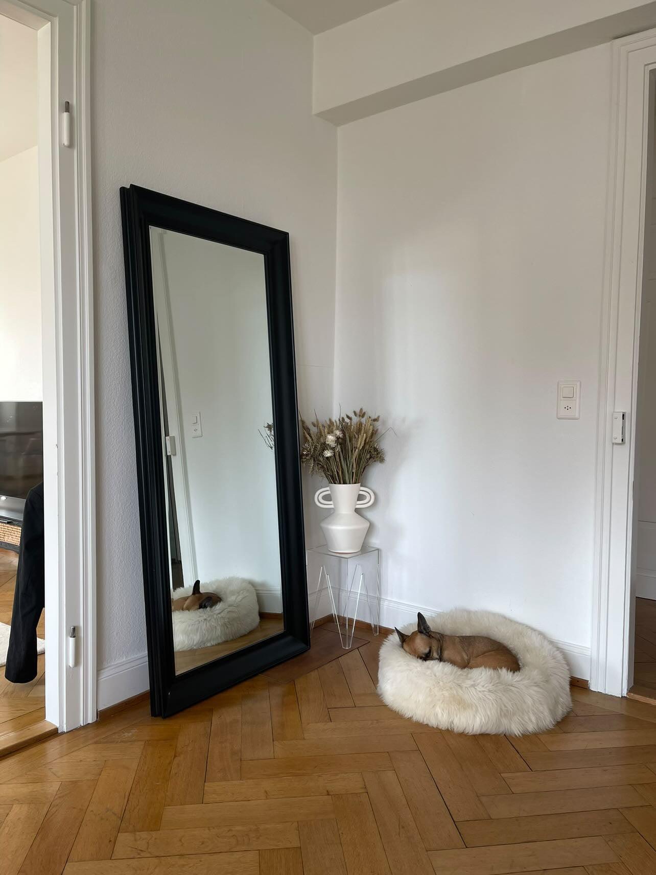 An Oval Natural Sheepskin Pet Bed from Mellow Pet Store in front of a mirror in a room.