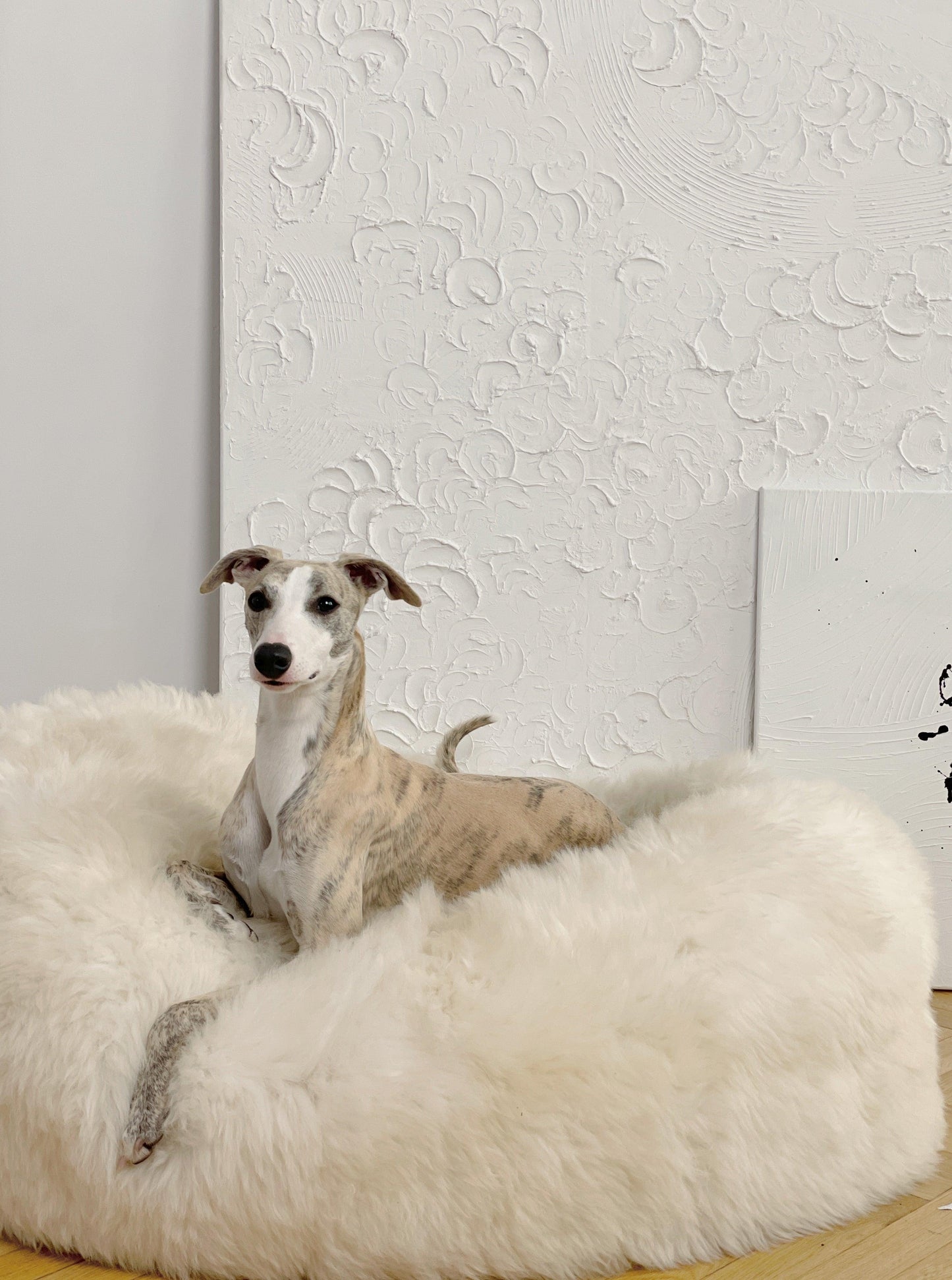 A greyhound dog lounging on a cozy Oval Natural Sheepskin Pet Bed from Mellow Pet Store.