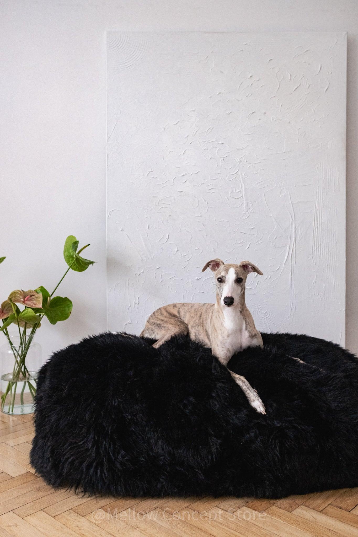 A dog lounging on a Mellow Pet Store Oval Natural Sheepskin Pet Bed in Black.