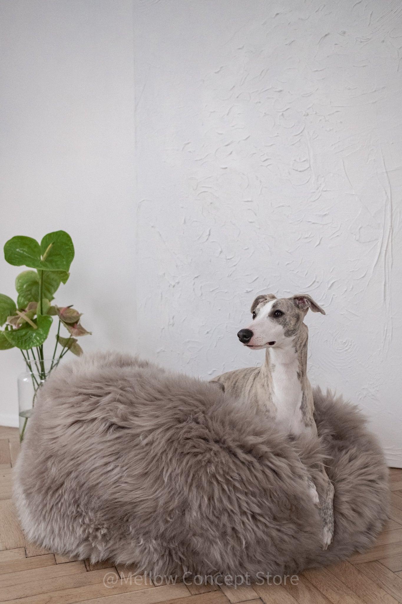A dog is lounging on a Oval Natural Sheepskin Pet Bed in Greige by Mellow Pet Store in a room.