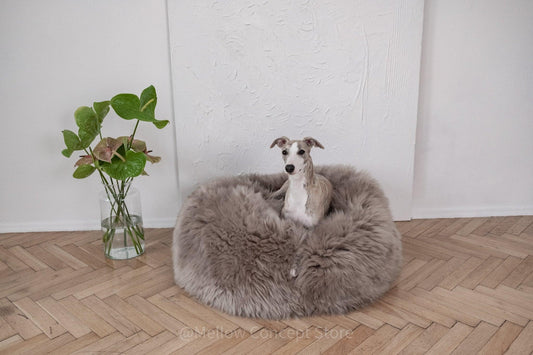 In the room, a dog is comfortably nestled on a fluffy Oval Natural Sheepskin Pet Bed made by Mellow Pet Store.