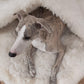 A greyhound dog resting in a Natural Sheepskin Pet Cave - White by Mellow Pet Store.