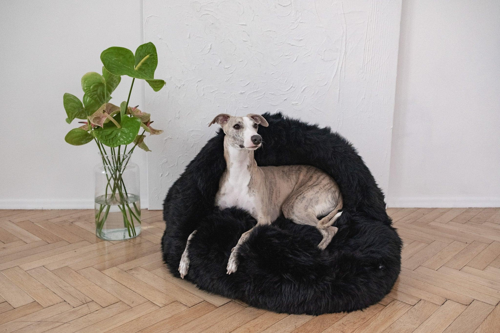 A greyhound dog lounges on a plush black Natural Sheepskin Pet Cave made by Mellow Pet Store.