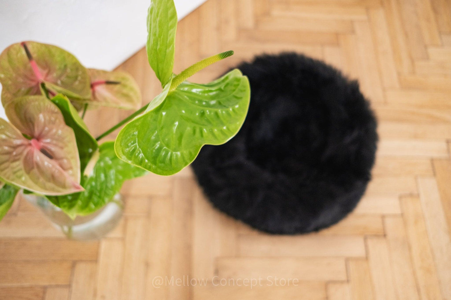 A Round Natural Sheepskin Pet Bed in black from Mellow Pet Store on a sustainable wooden floor.
