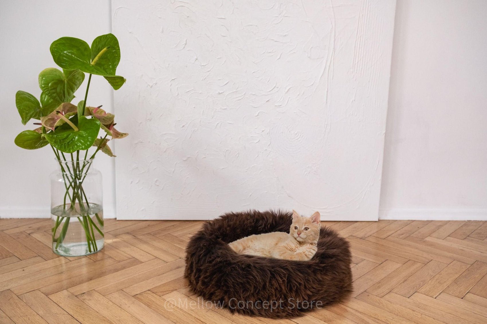 A cat is lounging on a Round Natural Sheepskin Pet Bed - Brown from Mellow Pet Store next to a plant.