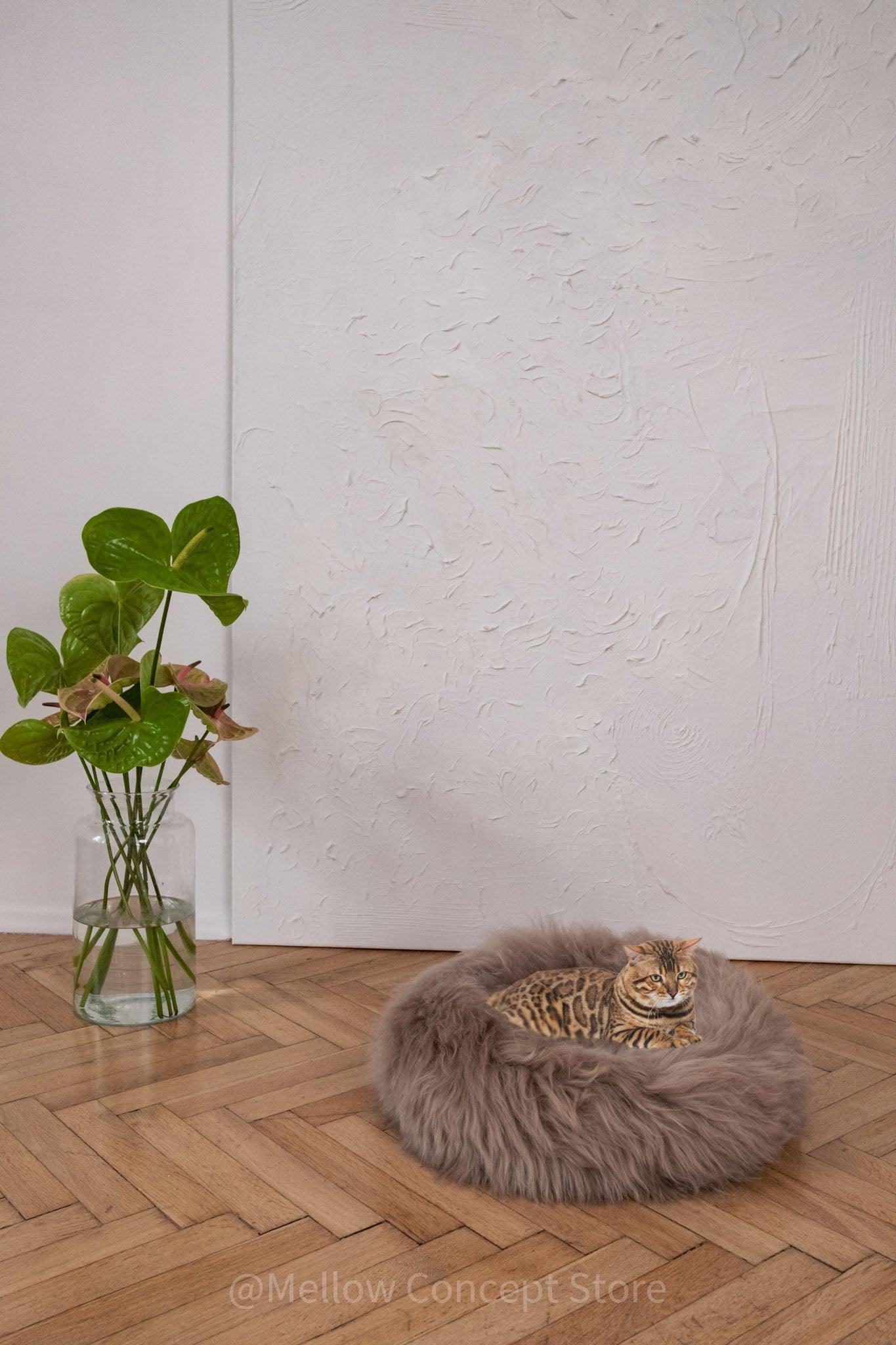 A cat resting on a Round Natural Sheepskin Pet Bed in a room with a vase.