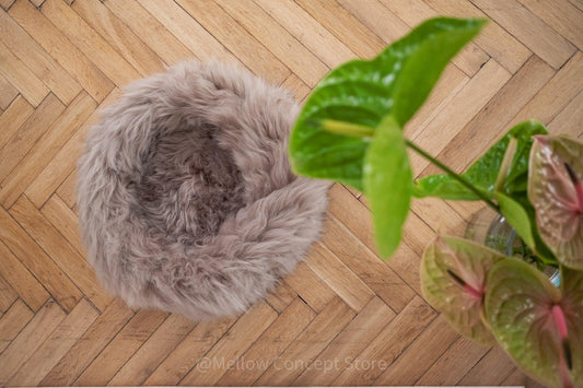 A Round Natural Sheepskin Pet Bed from Mellow Pet Store sits on a wooden floor, providing a cozy spot for your pet. Made from natural sheepskin, it is an eco-friendly choice for your furry friend.