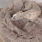 A dog resting on an Oval Natural Sheepskin Pet Bed - Greige from Mellow Pet Store.
