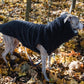 A greyhound wearing a Woolen Dog Vest in charcoal from Mellow Pet Store in the organic pet accessories.