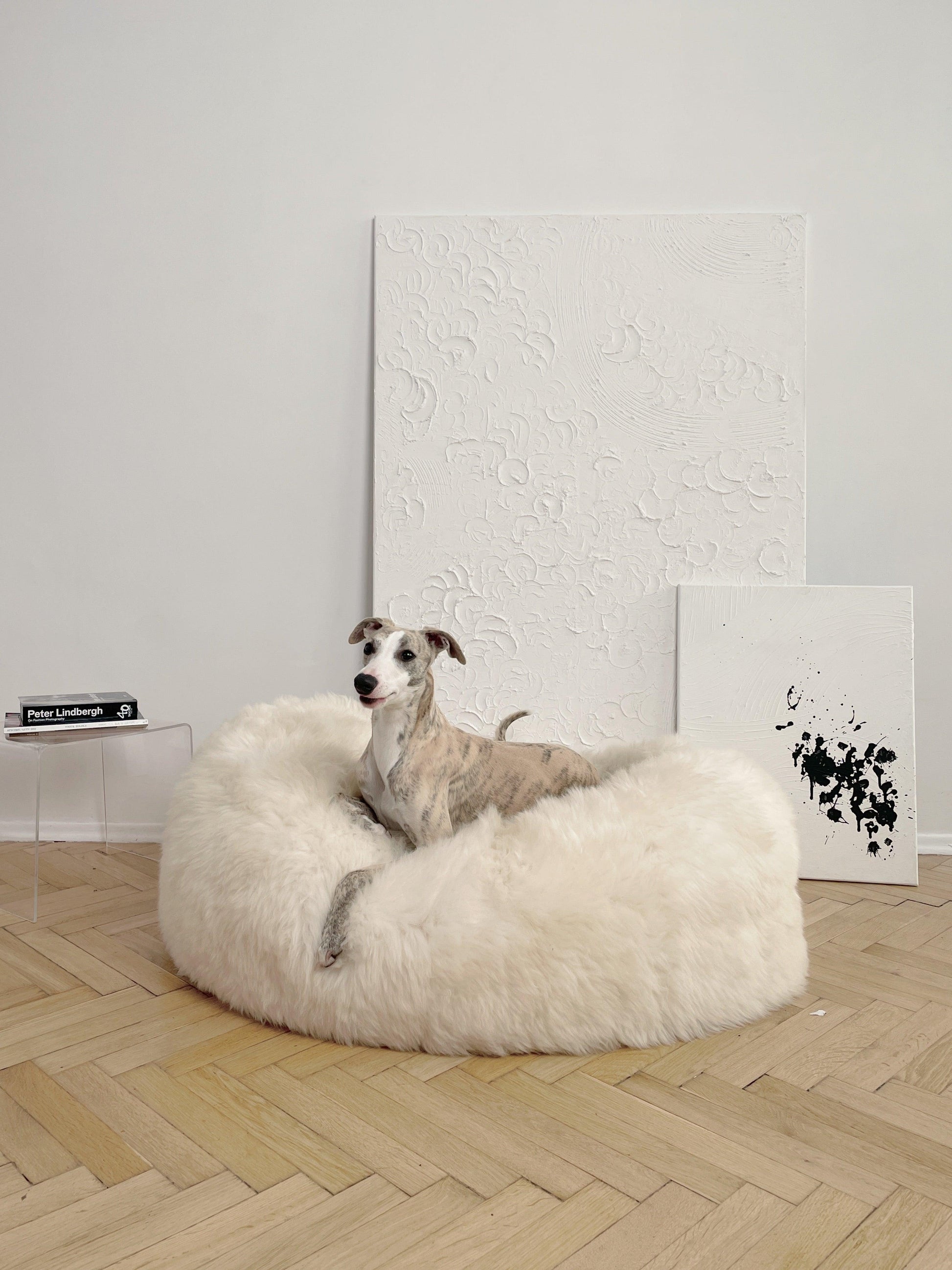 A dog relaxing on a Mellow Pet Store Oval Natural Sheepskin Pet Bed.