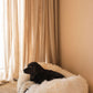 A black dog lounging on a Mellow Pet Store Oval Natural Sheepskin Pet Bed in front of curtains.