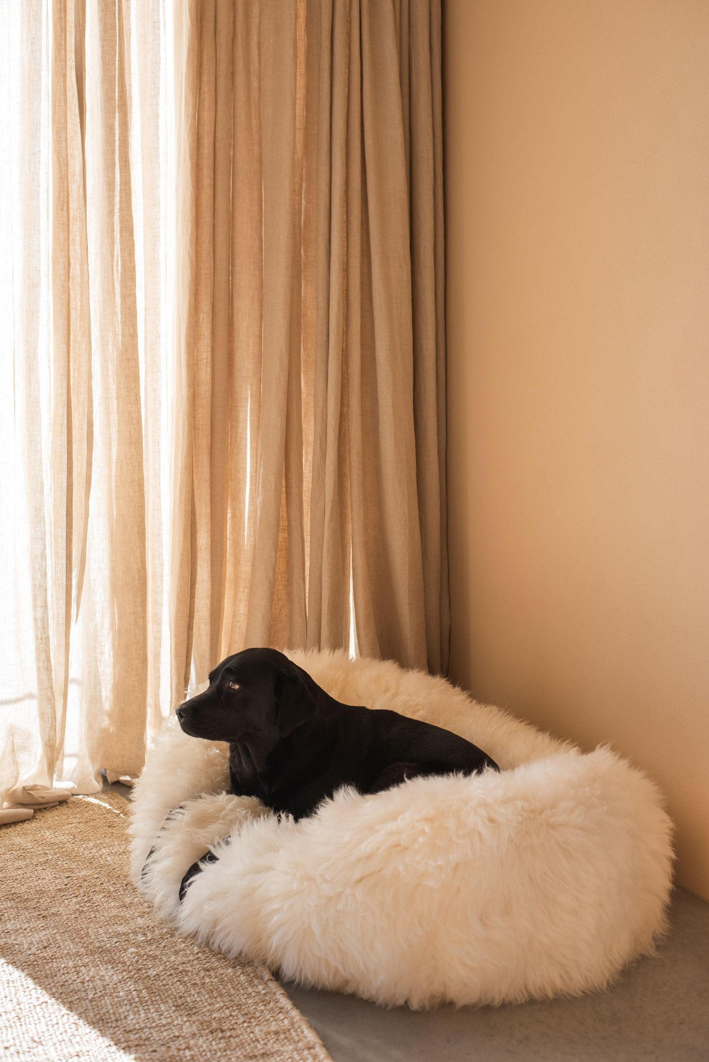 A black dog lounging on a Mellow Pet Store Oval Natural Sheepskin Pet Bed in front of curtains.