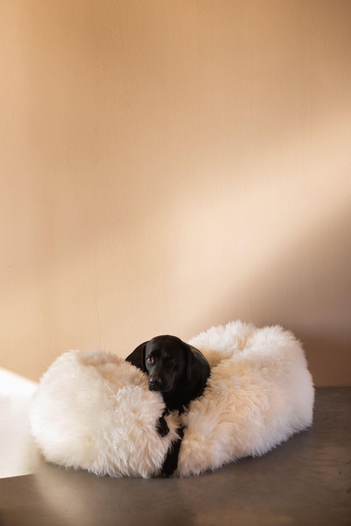 A black dog is lying on a Mellow Pet Store Oval Natural Sheepskin Pet Bed, creating a cozy and stylish environment for your furry friend.