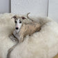 An eco-friendly greyhound lounging on a large fluffy Oval Natural Sheepskin Pet Bed from Mellow Pet Store.