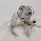 A greyhound dog lounging on a Square or Rectangular Natural Sheepskin Pet Mat in White, cozy and comfortable from Mellow Pet Store.