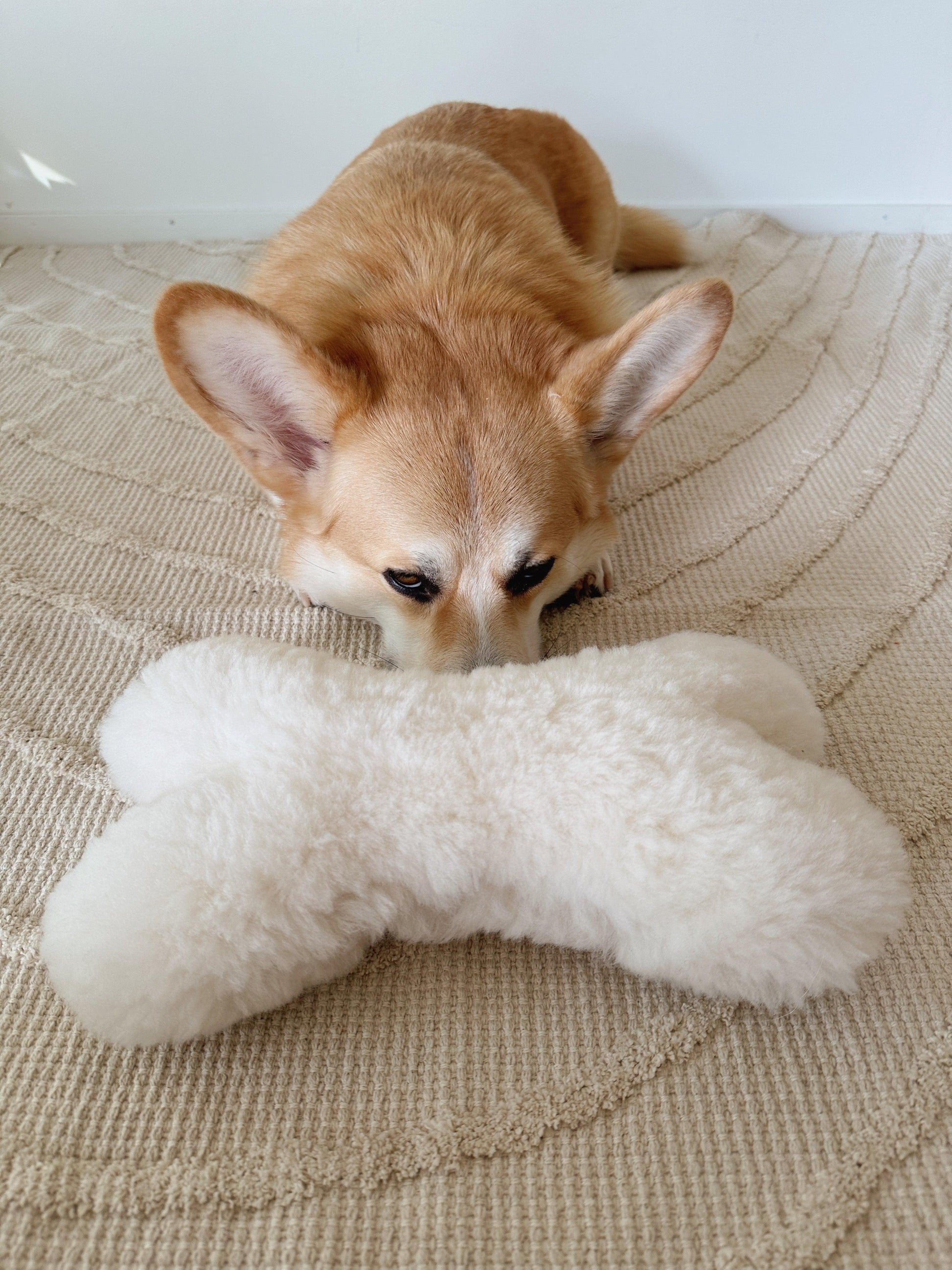 A dog lounges on a rug with a Natural Sheepskin Dog Toy Bone from Mellow Pet Store.